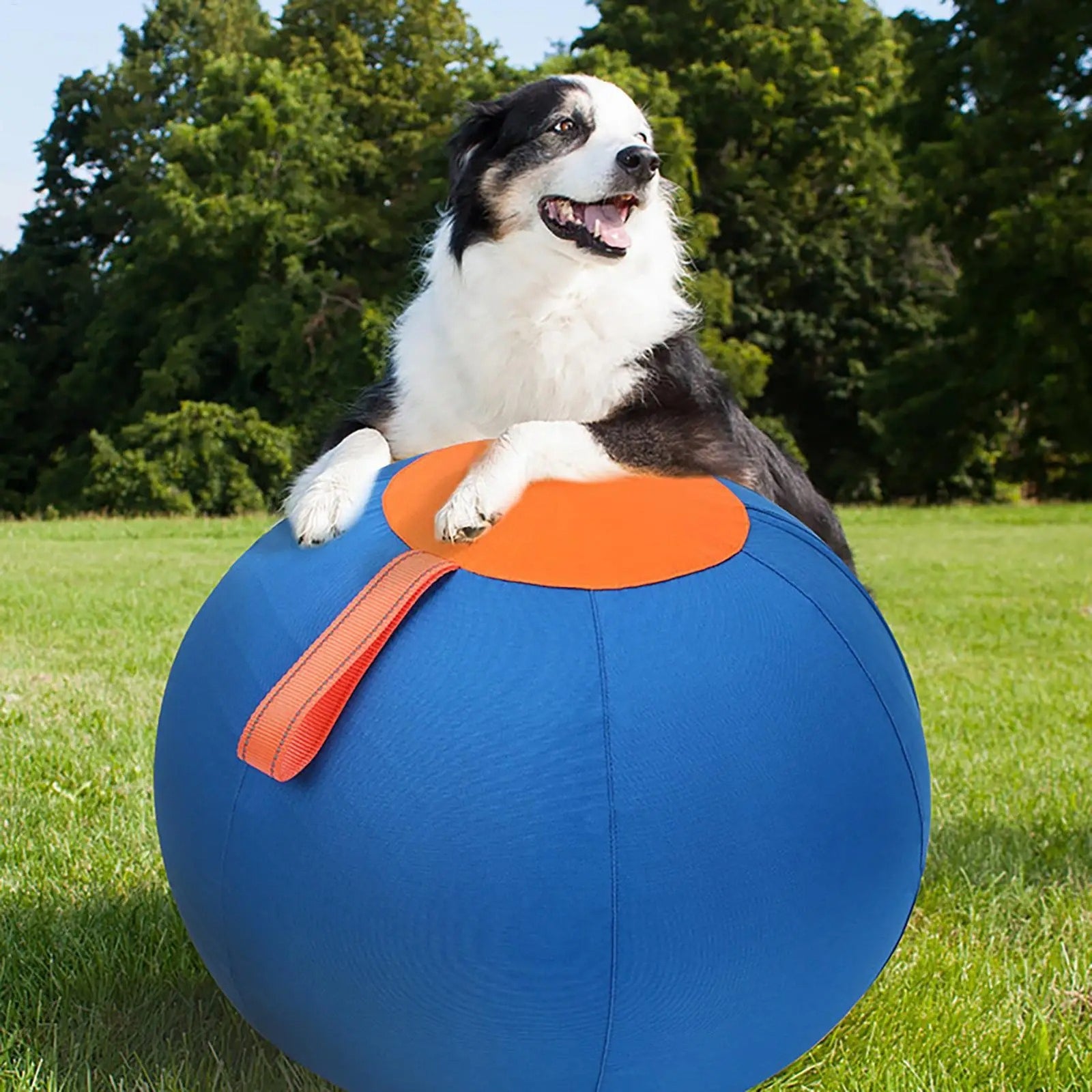 Ballon Treibball chien
