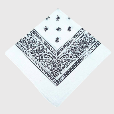 https://cdn.shopify.com/s/files/1/0763/9767/4819/products/Bandana_chien_personnalis.png?v=1729094260