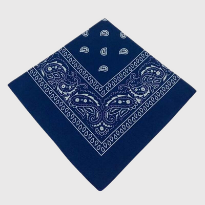 https://cdn.shopify.com/s/files/1/0763/9767/4819/products/Bandana_chien_personnalise_bleu.png?v=1729094355