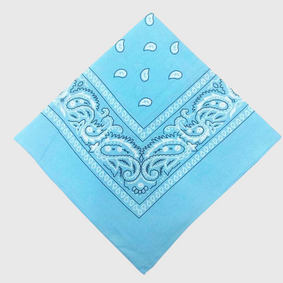 https://cdn.shopify.com/s/files/1/0763/9767/4819/files/Bandana_chien_personnalise_bleu_clair.png?v=1729094464