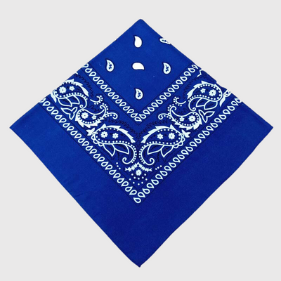https://cdn.shopify.com/s/files/1/0763/9767/4819/products/Bandana_chien_personnalise_bleu_foncee.png?v=1729094311