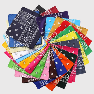 https://cdn.shopify.com/s/files/1/0763/9767/4819/files/Bandana_chien_personnalise_ensemble.png?v=1729094288