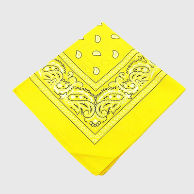https://cdn.shopify.com/s/files/1/0763/9767/4819/products/Bandana_chien_personnalise_jaune.png?v=1729094326