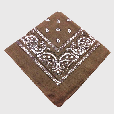 https://cdn.shopify.com/s/files/1/0763/9767/4819/files/Bandana_chien_personnalise_marron.png?v=1729094491