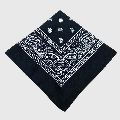 https://cdn.shopify.com/s/files/1/0763/9767/4819/files/Bandana_chien_personnalise_noir.png?v=1729094423