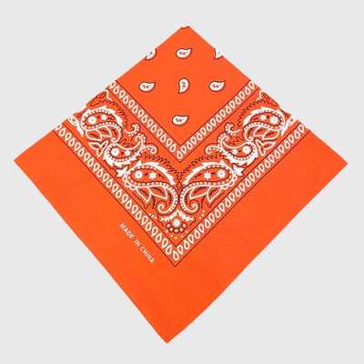 https://cdn.shopify.com/s/files/1/0763/9767/4819/files/Bandana_chien_personnalise_orange.png?v=1729094482