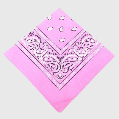 https://cdn.shopify.com/s/files/1/0763/9767/4819/files/Bandana_chien_personnalise_rose.png?v=1729094397