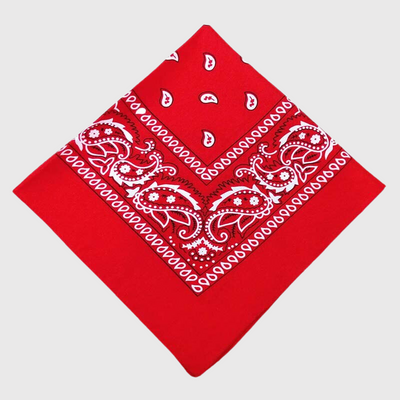 https://cdn.shopify.com/s/files/1/0763/9767/4819/files/Bandana_chien_personnalise_rouge.png?v=1729094451