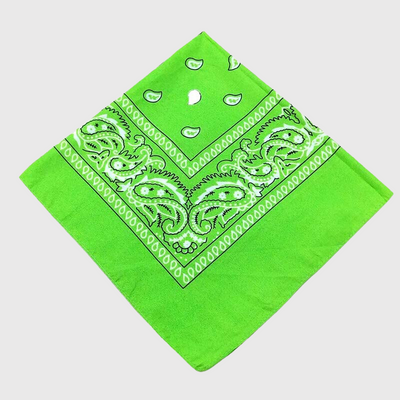 https://cdn.shopify.com/s/files/1/0763/9767/4819/products/Bandana_chien_personnalise_vert_fluo.png?v=1729094342