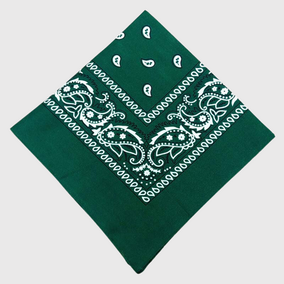https://cdn.shopify.com/s/files/1/0763/9767/4819/files/Bandana_chien_personnalise_vert_fonce.png?v=1729094407