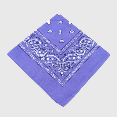 https://cdn.shopify.com/s/files/1/0763/9767/4819/files/Bandana_chien_personnalise_violet_clair.png?v=1729094438