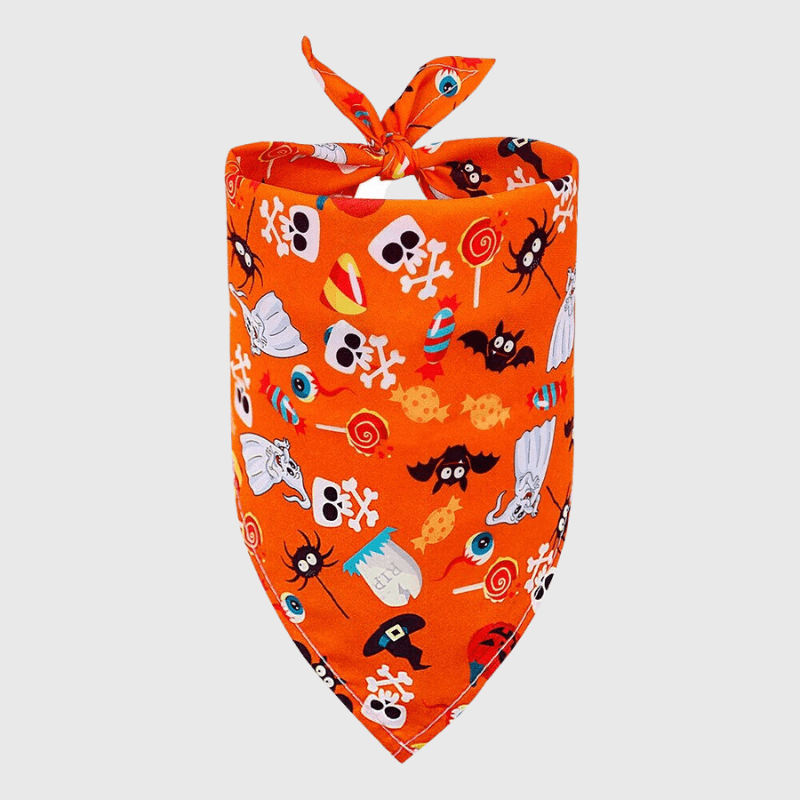 https://cdn.shopify.com/s/files/1/0763/9767/4819/files/Bandana_pour_chien_Halloween_orange.png?v=1698155142