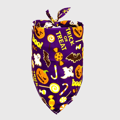 https://cdn.shopify.com/s/files/1/0763/9767/4819/files/Bandana_pour_chien_Halloween_violet.png?v=1698155141