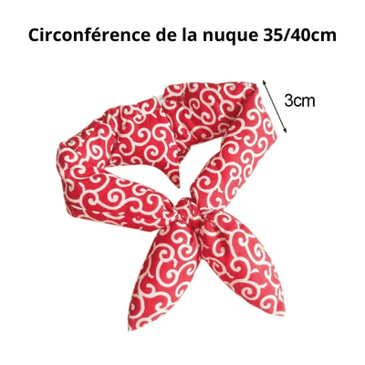 https://cdn.shopify.com/s/files/1/0763/9767/4819/files/Bandana_pour_chien_Noeud_taille.png?v=1698155799