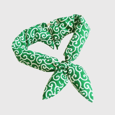 https://cdn.shopify.com/s/files/1/0763/9767/4819/files/Bandana_pour_chien_Noeud_vert.png?v=1698155740