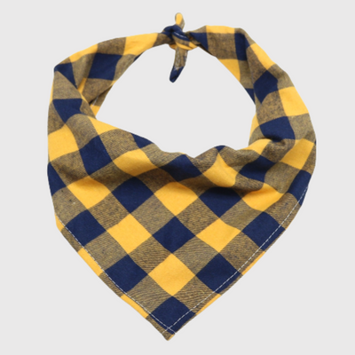 https://cdn.shopify.com/s/files/1/0763/9767/4819/files/Bandana_pour_grand_chien_bleu_jaune.png?v=1692194663
