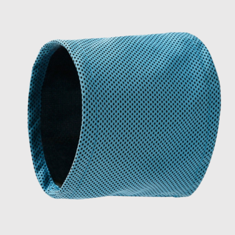 https://cdn.shopify.com/s/files/1/0763/9767/4819/files/Bandana_rafraichissant_pour_chien_chien_bleu.png?v=1692194860