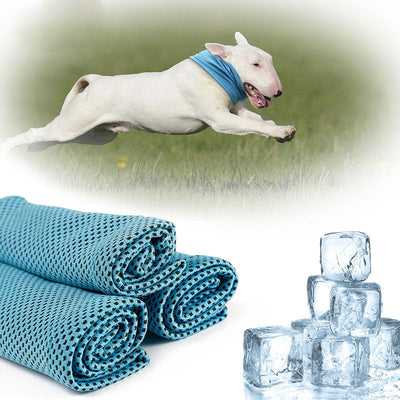 https://cdn.shopify.com/s/files/1/0763/9767/4819/files/Bandana_rafraichissant_pour_chien_chien_modele_chien.jpg?v=1692194860