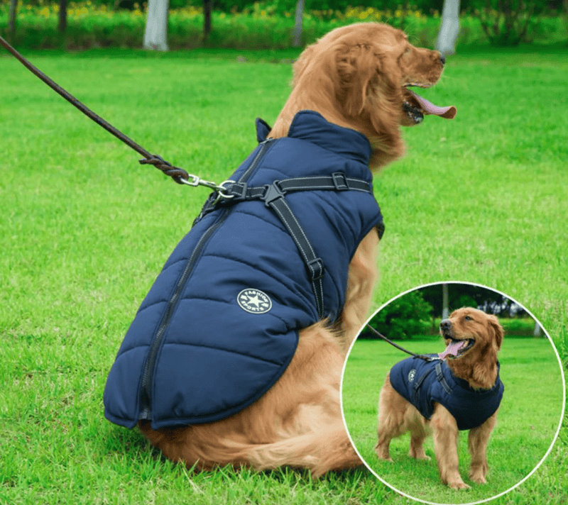 https://cdn.shopify.com/s/files/1/0489/2898/1148/files/BDY3Gro-e-Haustier-Hund-Jacke-Mit-Harness-Winter-Warm-Hund-Kleidung-F-r-Labrador-Wasserdichte-Gro.jpg?v=1767253212