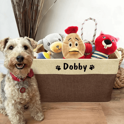 https://cdn.shopify.com/s/files/1/0763/9767/4819/files/Boite_rangement_jouet_chien_interieur_maison.png?v=1749138658
