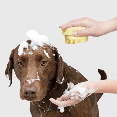 https://cdn.shopify.com/s/files/1/0763/9767/4819/files/Brosse_de_bain_pour_chien_carre__labrador.png?v=1746199318