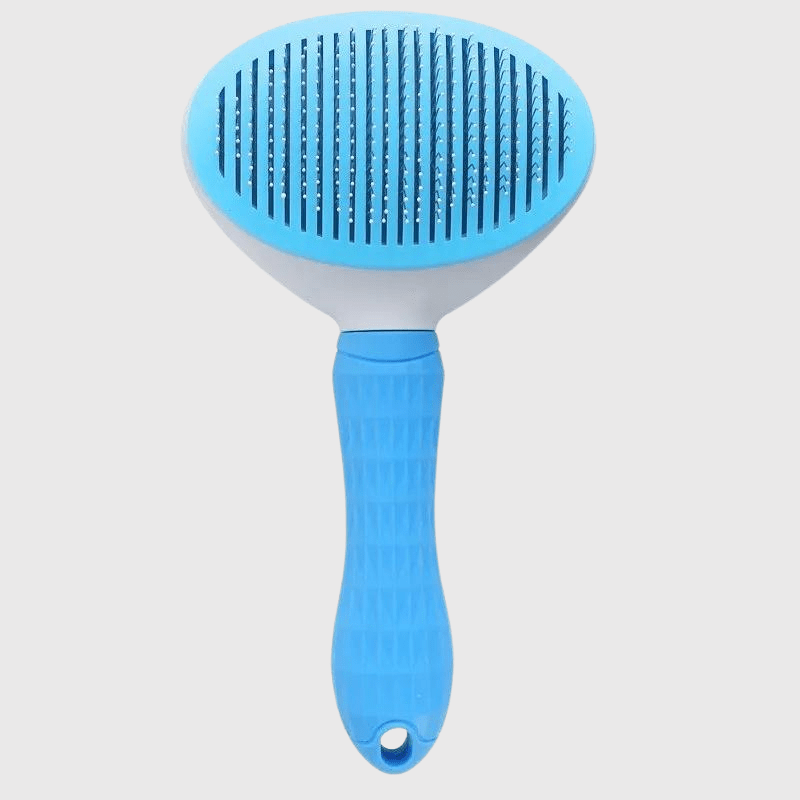 https://cdn.shopify.com/s/files/1/0763/9767/4819/files/Brosse_push_ronde_pour_chien_bleu.png?v=1700068693