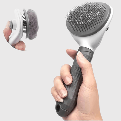 https://cdn.shopify.com/s/files/1/0763/9767/4819/files/Brosse_push_ronde_pour_chien_modele.png?v=1700068693