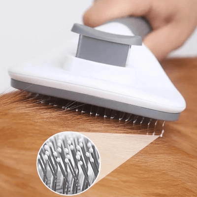 https://cdn.shopify.com/s/files/1/0763/9767/4819/files/Brosse_push_ronde_pour_chien_poils.png?v=1700068693
