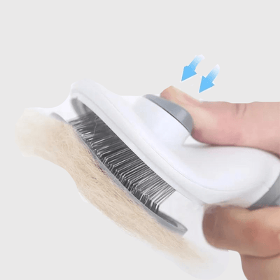 https://cdn.shopify.com/s/files/1/0763/9767/4819/files/Brosse_push_ronde_pour_chien_pousse.png?v=1700068693