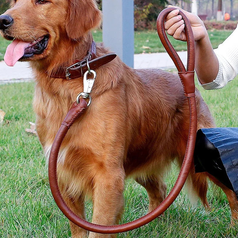 Laisse Ronde En Cuir Roulé Pour Chien Shwaan - Taille L (Berger Allemand) - Réglable - Neuf