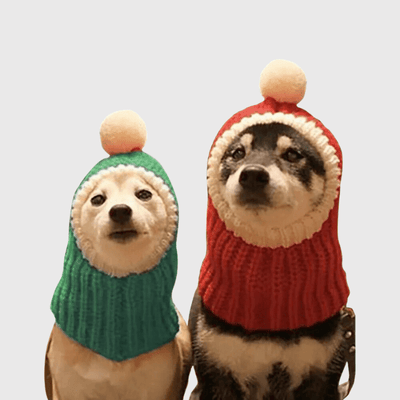 https://cdn.shopify.com/s/files/1/0763/9767/4819/files/Cagoule_a_pom_pom_pour_chien_exemple.png?v=1698073728