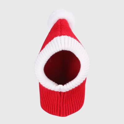 https://cdn.shopify.com/s/files/1/0763/9767/4819/files/Cagoule_a_pom_pom_pour_chien_zoom.png?v=1698073728