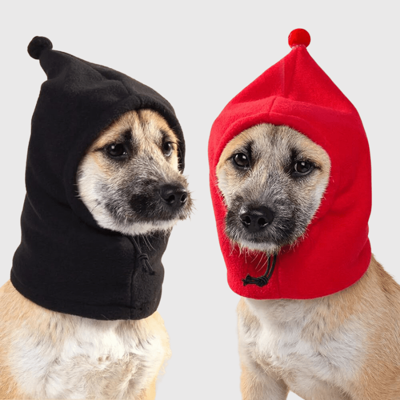 https://cdn.shopify.com/s/files/1/0763/9767/4819/files/Cagoule_pour_chien_deux.png?v=1698073236