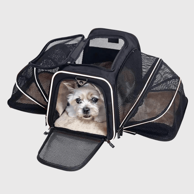 https://cdn.shopify.com/s/files/1/0763/9767/4819/files/Caisse_de_transport_chien_pliable_blanc.png?v=1748438338