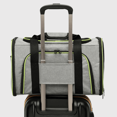 https://cdn.shopify.com/s/files/1/0763/9767/4819/files/Caisse_de_transport_chien_pliable_transport.png?v=1748438338