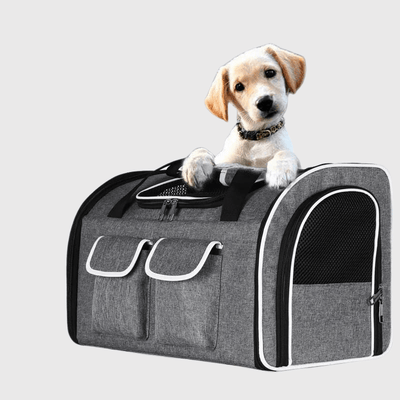 https://cdn.shopify.com/s/files/1/0763/9767/4819/files/Caisse_de_transport_chien_pour_voiture_canin-min.png?v=1748440609