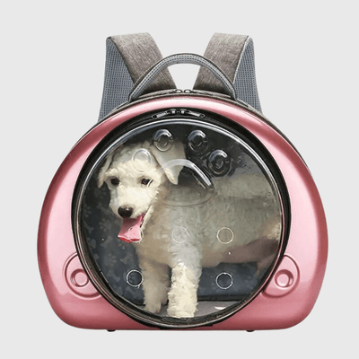 https://cdn.shopify.com/s/files/1/0763/9767/4819/files/Caisse_de_transport_petit_chien_canin.png?v=1748440394