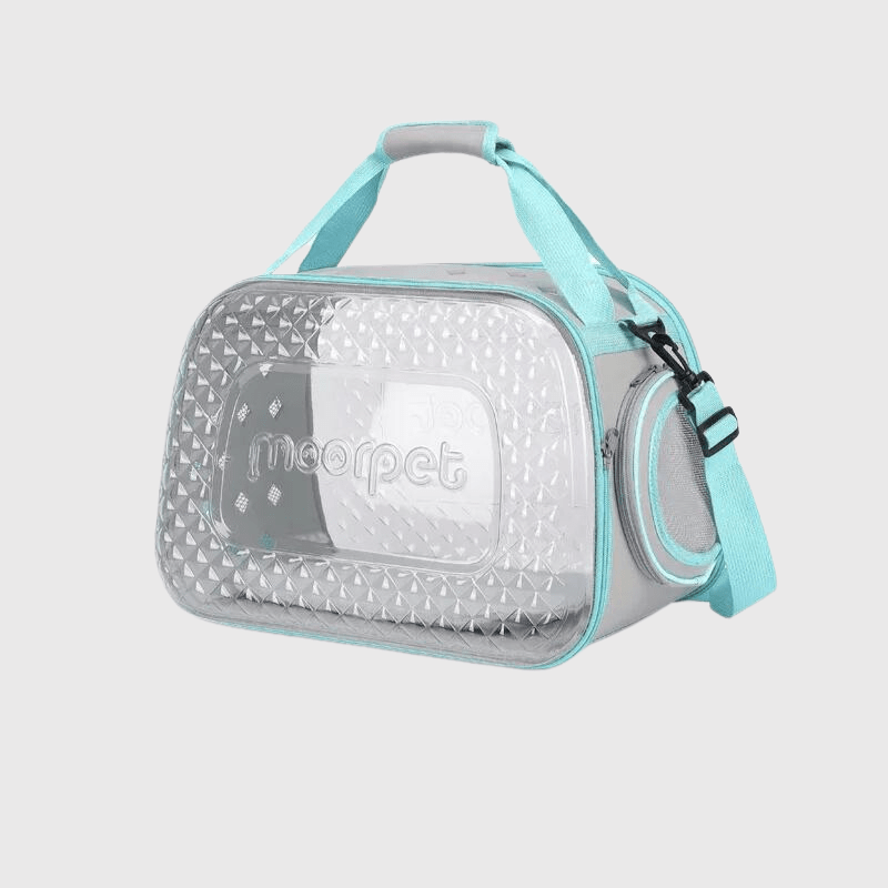 https://cdn.shopify.com/s/files/1/0763/9767/4819/files/Caisse_de_transport_transparente_pour_chien_dans_la_rue.png?v=1748439576
