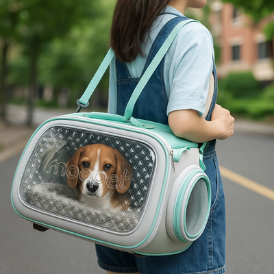 https://cdn.shopify.com/s/files/1/0763/9767/4819/files/Caisse_de_transport_transparente_pour_chien_dans_la_rue.png?v=1748439576
