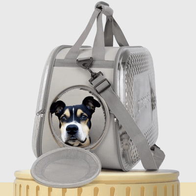 https://cdn.shopify.com/s/files/1/0763/9767/4819/files/Caisse_de_transport_transparente_pour_chien_ouvert.png?v=1748439549