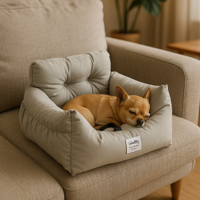 https://cdn.shopify.com/s/files/1/0763/9767/4819/files/Canape_pour_petit_chien_avec_chihuahua.png?v=1748430482