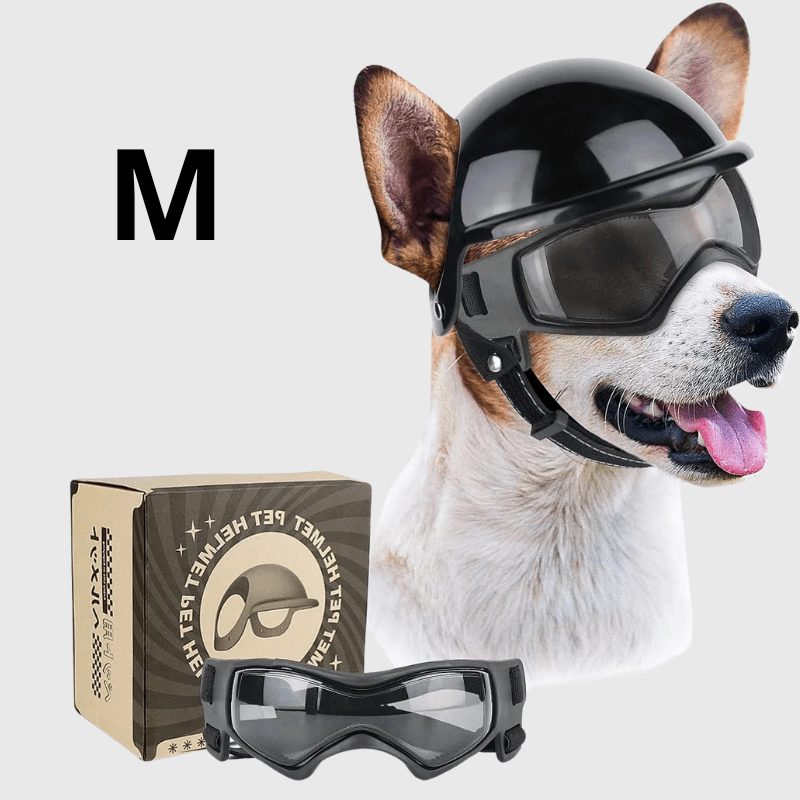 https://cdn.shopify.com/s/files/1/0763/9767/4819/files/Casque_de_moto_Noir_pour_chien_ensemble_jack_ruseel.png?v=1744822207
