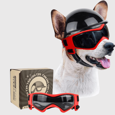 https://cdn.shopify.com/s/files/1/0763/9767/4819/files/Casque_de_moto_Noir_pour_chien_rouge.png?v=1744822207