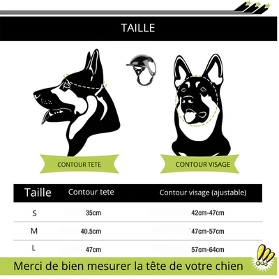 https://cdn.shopify.com/s/files/1/0763/9767/4819/files/Casque_de_moto_Noir_pour_chien_taille.png?v=1744822207