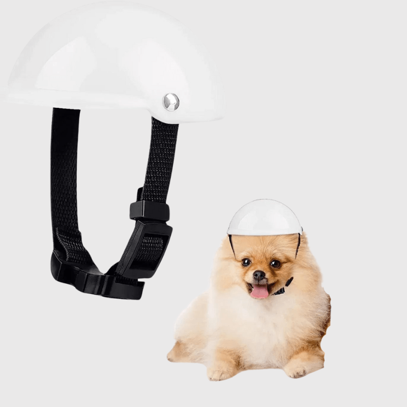 https://cdn.shopify.com/s/files/1/0763/9767/4819/files/Casque_de_moto_blanc_ou_noir_ou_rose_pour_chien_blanc.png?v=1770642901