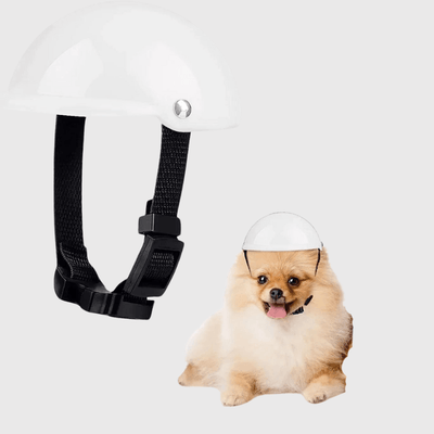 https://cdn.shopify.com/s/files/1/0763/9767/4819/files/Casque_de_moto_blanc_ou_noir_ou_rose_pour_chien_blanc.png?v=1770642901