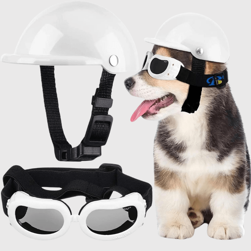 https://cdn.shopify.com/s/files/1/0763/9767/4819/files/Casque_de_moto_blanc_ou_noir_ou_rose_pour_chien_blanc_avec_lunette.png?v=1770642901
