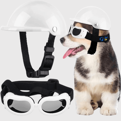 https://cdn.shopify.com/s/files/1/0763/9767/4819/files/Casque_de_moto_blanc_ou_noir_ou_rose_pour_chien_blanc_avec_lunette.png?v=1770642901