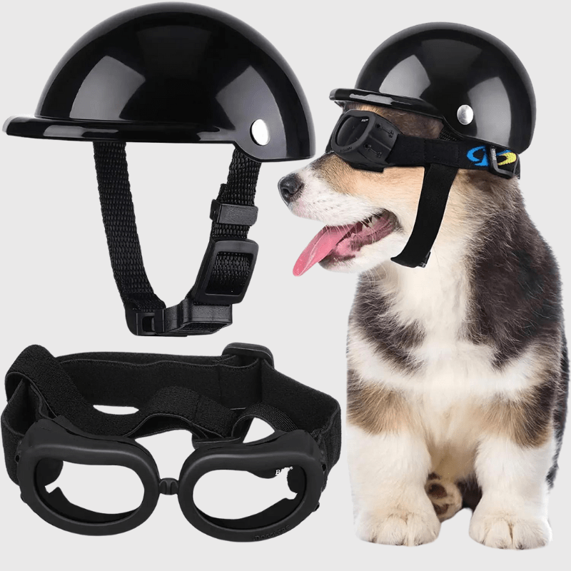 https://cdn.shopify.com/s/files/1/0763/9767/4819/files/Casque_de_moto_blanc_ou_noir_ou_rose_pour_chien_noir.png?v=1770642901