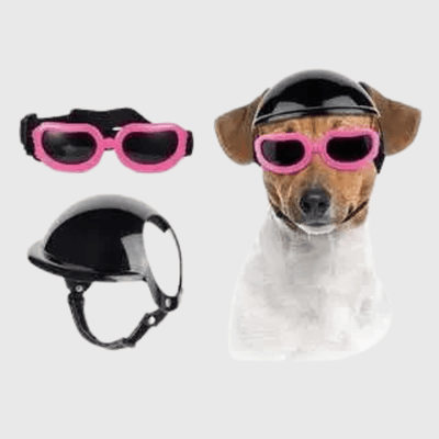 https://cdn.shopify.com/s/files/1/0763/9767/4819/files/Casque_de_moto_chien_avec_des_lunettes_Colores_jack_ruseel.png?v=1757086384